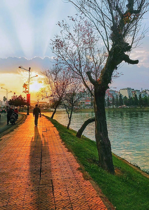 Hồ Xuân Hương cũng đẹp hơn nhờ những cây đào nở hoa rực rỡ