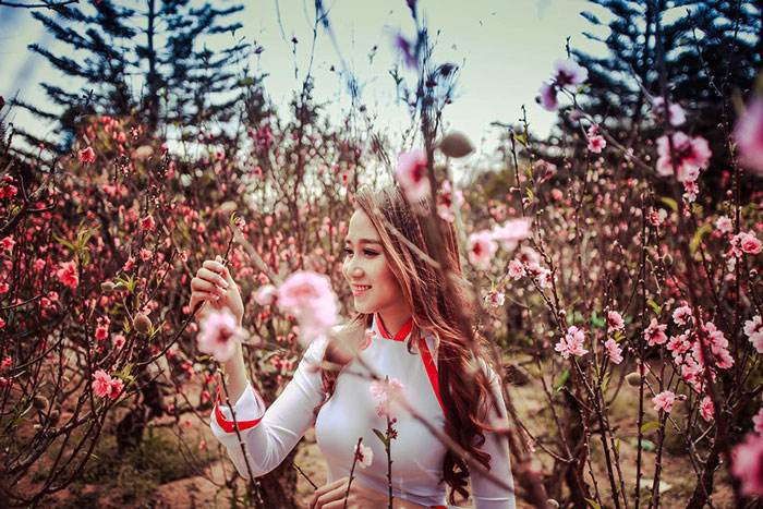 Tái sinh một cành hoa