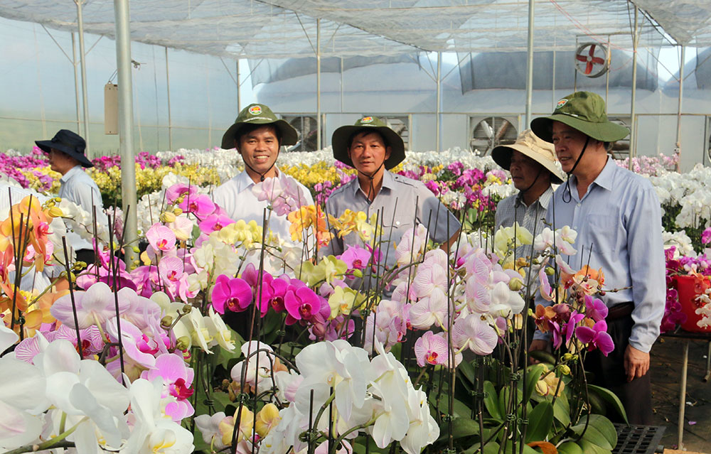Một số mô hình trồng hoa ứng dụng công nghệ cao đã phát huy hiệu quả trên địa bàn huyện Di Linh. Ảnh: N.B