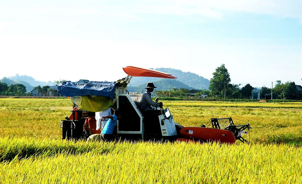 Cơ giới hóa trên những cánh đồng lúa gạo mang thương hiệu “Lúa - Gạo Cát Tiên”. Ảnh: K.Phúc