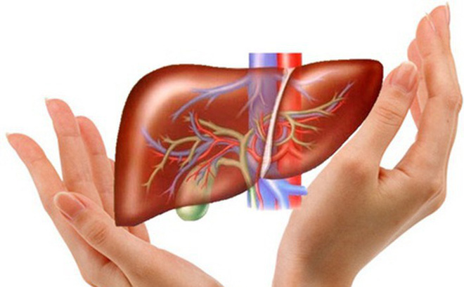 5 giải pháp quan trọng để cải thiện chức năng gan: Người lo mắc bệnh gan nên áp dụng sớm