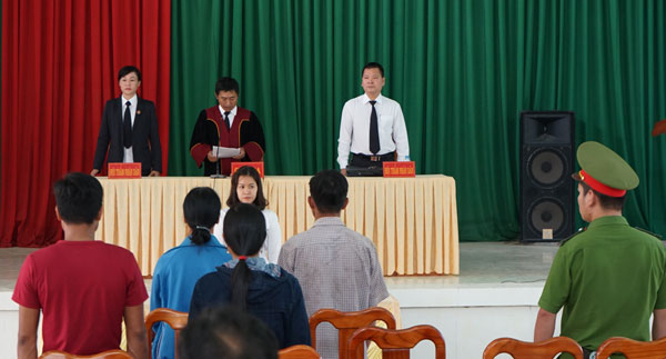 Cưa cây rừng đốt than, hai vợ chồng lãnh án