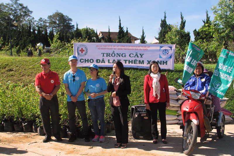 Trồng 100 cây mai anh đào cho Đà Lạt thêm xanh