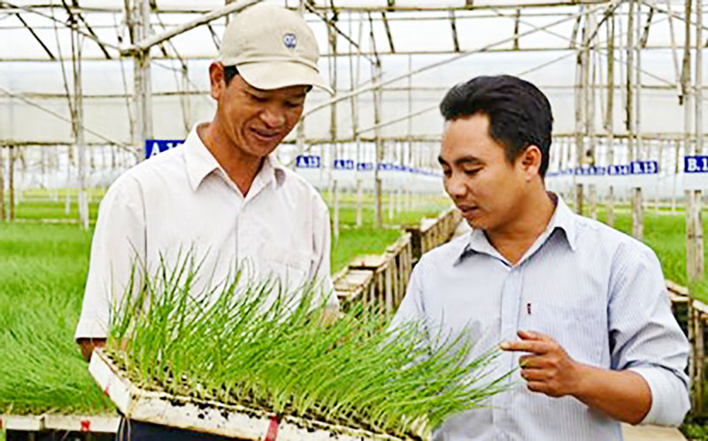 Những thành công bước đầu