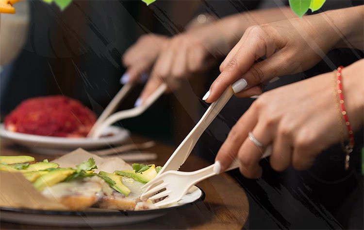 Các sản phẩm của Biofase bao gồm dao, dĩa (nĩa), thìa (muỗng) và ống hút