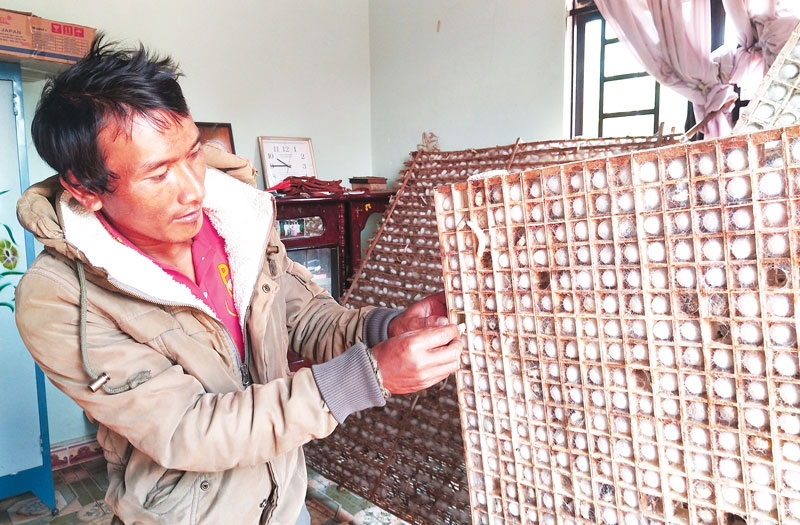 Mê Linh: Khi người K'Ho vượt khó từ cây dâu con tằm