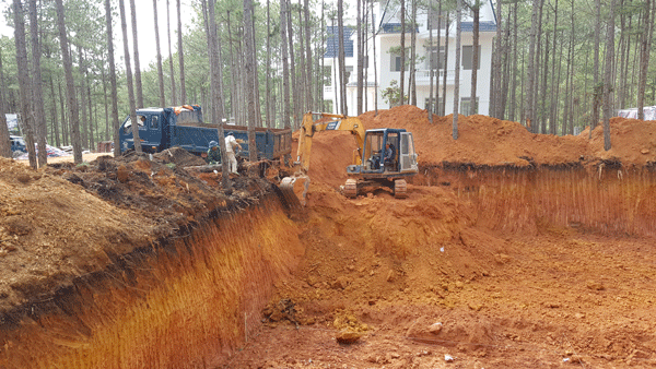 Dự án khu nghỉ dưỡng cao cấp… phá rừng