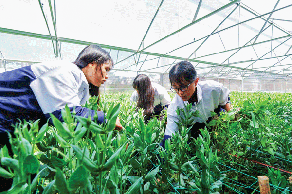 Khu vườn công nghệ cao của học sinh nội trú