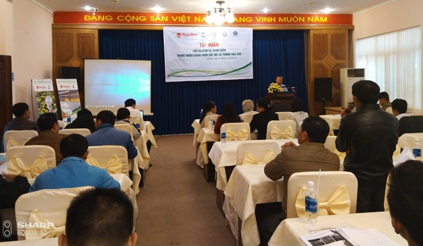Đèn LED chuyên dụng cho nuôi cấy mô và trồng hoa cúc