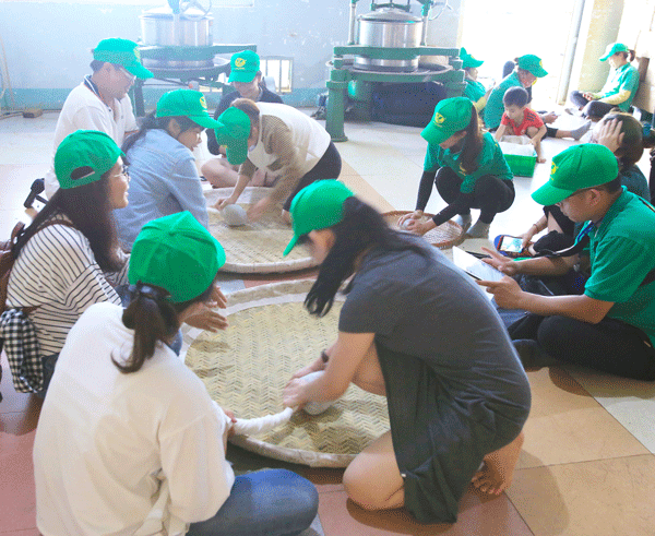 Trà tiếp tục được đưa vào lò sào khi đã đạt đủ độ trà và hương vị (thường vào lúc 3-4 giờ sáng) giúp mất nước nhanh và khô. Trà tiếp tục được ủ đến độ dẻo có thể tạo hình được (trước kia là vò tay) thì đưa vào máy ép. Quá trình ép, trà sẽ ra nhựa và phủ đều lên từng tép trà thì được đưa ra đánh tơi. Công đoạn này được làm liên tục khoảng 10 lần. Vò ép là quá trình lặp đi lặp lại, vừa ép - vừa đánh tơi và vừa sấy - vừa vò tròn tạo ra bán thành phẩm. 