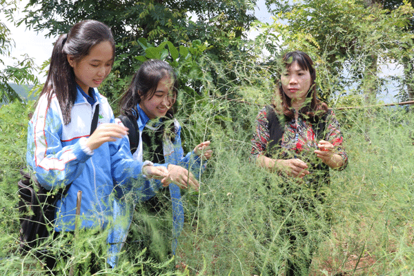 Hai cô học trò sáng tạo