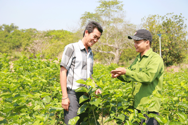 Cuộc thi khởi nghiệp sáng tạo dành cho thanh niên nông thôn