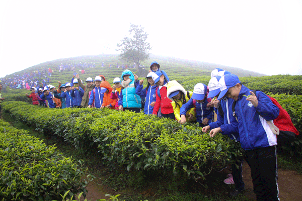 Sôi động tour du lịch &quot;Em là nông dân nhí&quot;