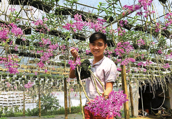 Vườn lan rừng bạc tỷ của chàng trai 9x
