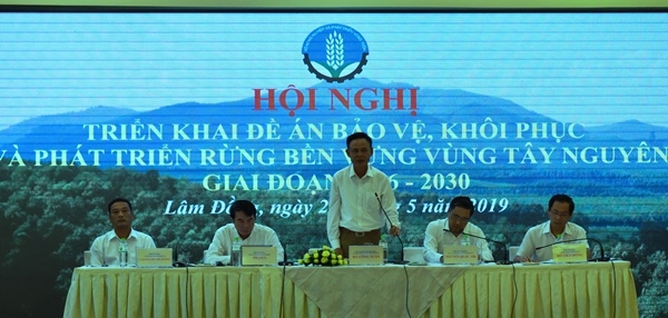 Triển khai Đề án Bảo vệ, khôi phục và phát triển rừng bền vững vùng Tây Nguyên