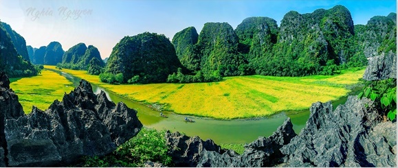 Sông Ngô Đồng rực rỡ mùa lúa chín