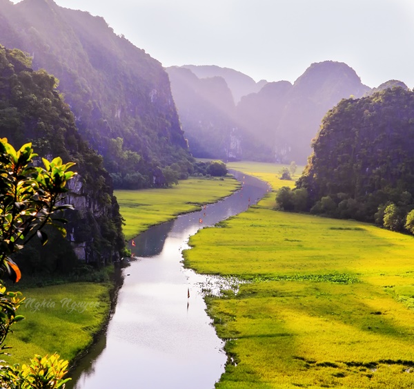 Cuối tháng 5, đầu tháng 6 là thời điểm lúa ở hai bên sông Ngô Đồng chín vàng và cũng là mùa có cảnh sắc đẹp nhất trong năm