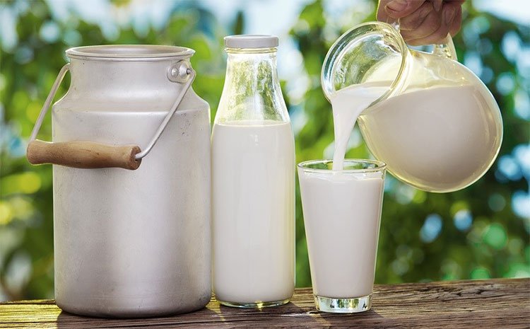 Giải pháp đột phá giúp bảo quản sữa tươi đến 60 ngày