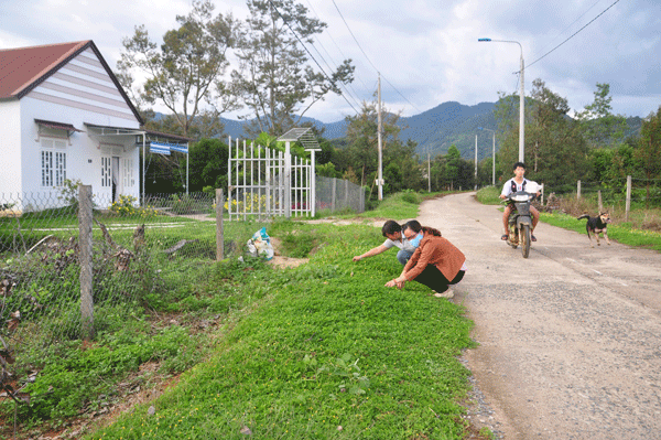 Chung tay cho một thị trấn Ðạ M'ri tươi đẹp