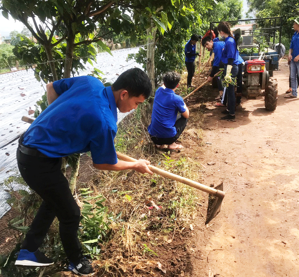 Tuổi trẻ N'Thol Hạ chung tay vì cuộc sống cộng đồng