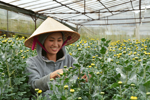 Thêm điểm nhấn cho Festival Hoa Ðà Lạt 2019