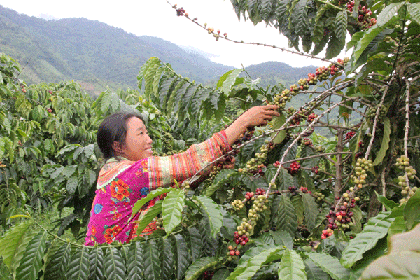 Những chuyển biến tích cực sau 3 năm thực hiện Chỉ thị 05 ở Ðam Rông