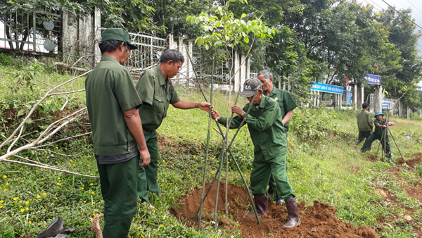 Bảo Lâm phát động trồng rừng, trồng cây phân tán