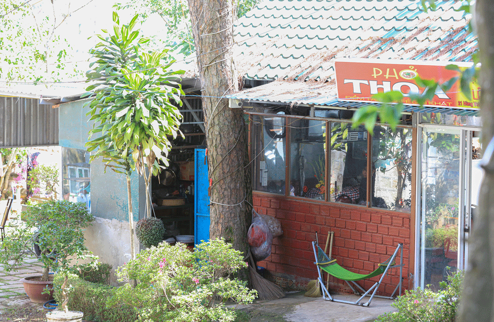 Những cây thông này đã bị quán phở lấp gốc