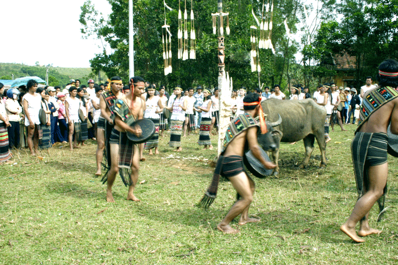 Lễ hội đâm trâu mừng lúa mới