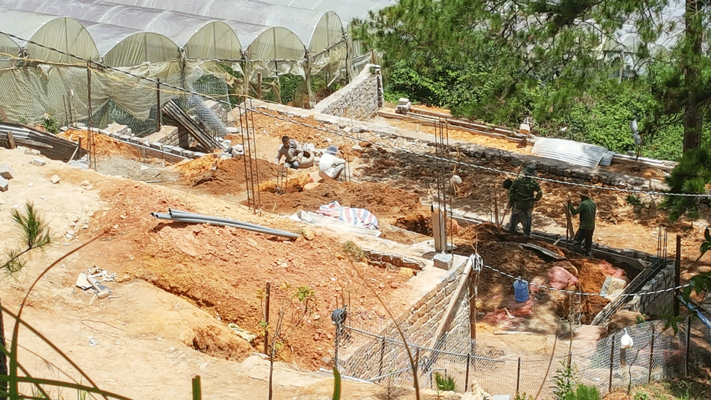 Cưỡng chế, thu hồi phần đất lâm nghiệp mở đường trái phép