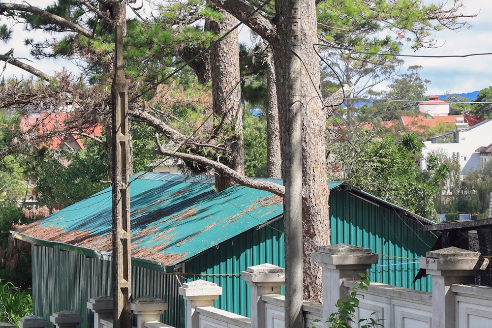 Bát nháo công trình trong biệt thự cổ
