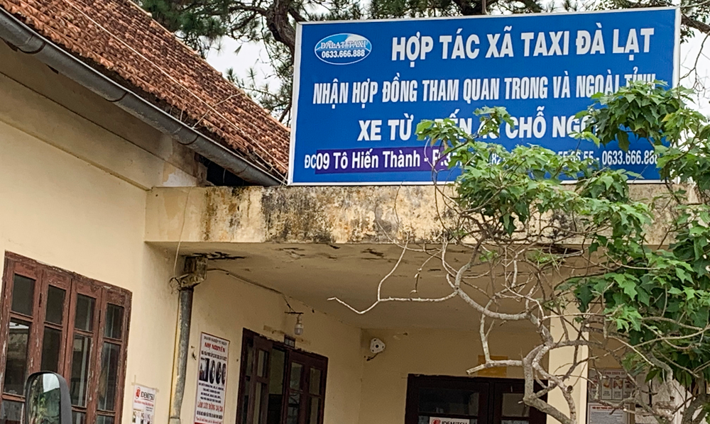 Giám đốc một hợp tác xã taxi dùng bằng ĐH giả