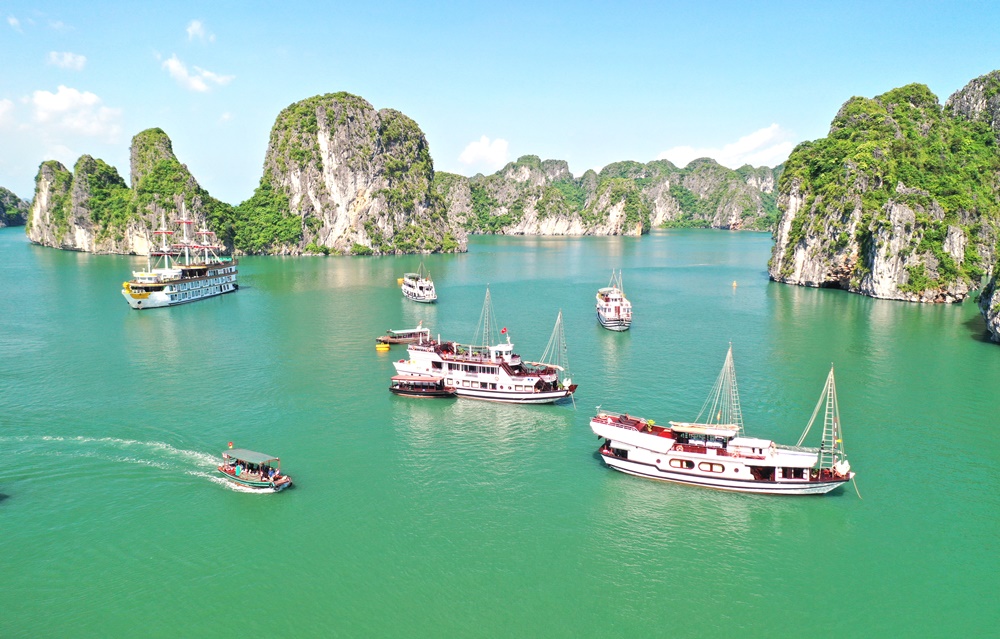 Mỗi ngày trên vịnh tấp nập du thuyền lớn nhỏ chở du khách trong và ngoài nước ngắm cảnh sắc thiên nhiên kỳ diệu trên vịnh.