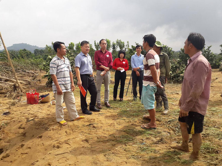 Đoàn công tác Hội CTĐ Việt Nam đi thăm thực tế vườn bưởi của một gia đình người dân bị ảnh hưởng lũ quét ở thôn 11 – xã Đạ Kho – huyện Đạ Tẻh