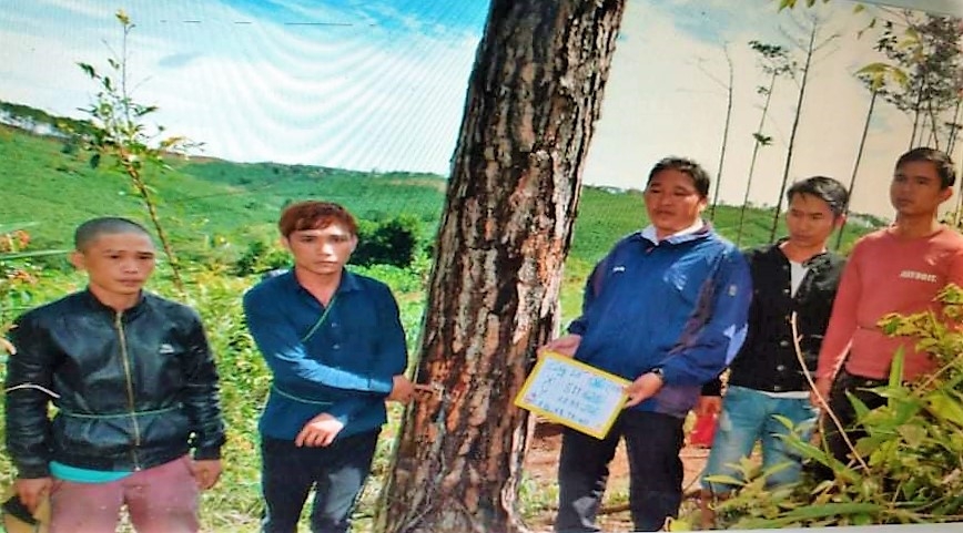 Cơ quan công an dẫn các đối tượng thực nghiệm lại hiện trường đầu độc rừng thông