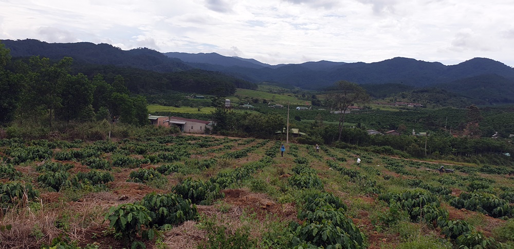 Sẽ thu hồi toàn bộ diện tích đất, rừng đã giao cho cộng đồng Thôn 4