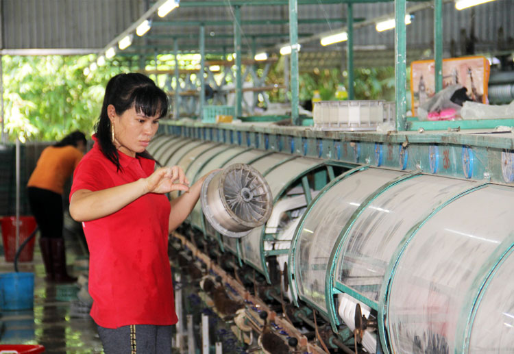 Đến thực tế tại Nhà máy ươm tơm ở xã Mỹ Đức của huyện
