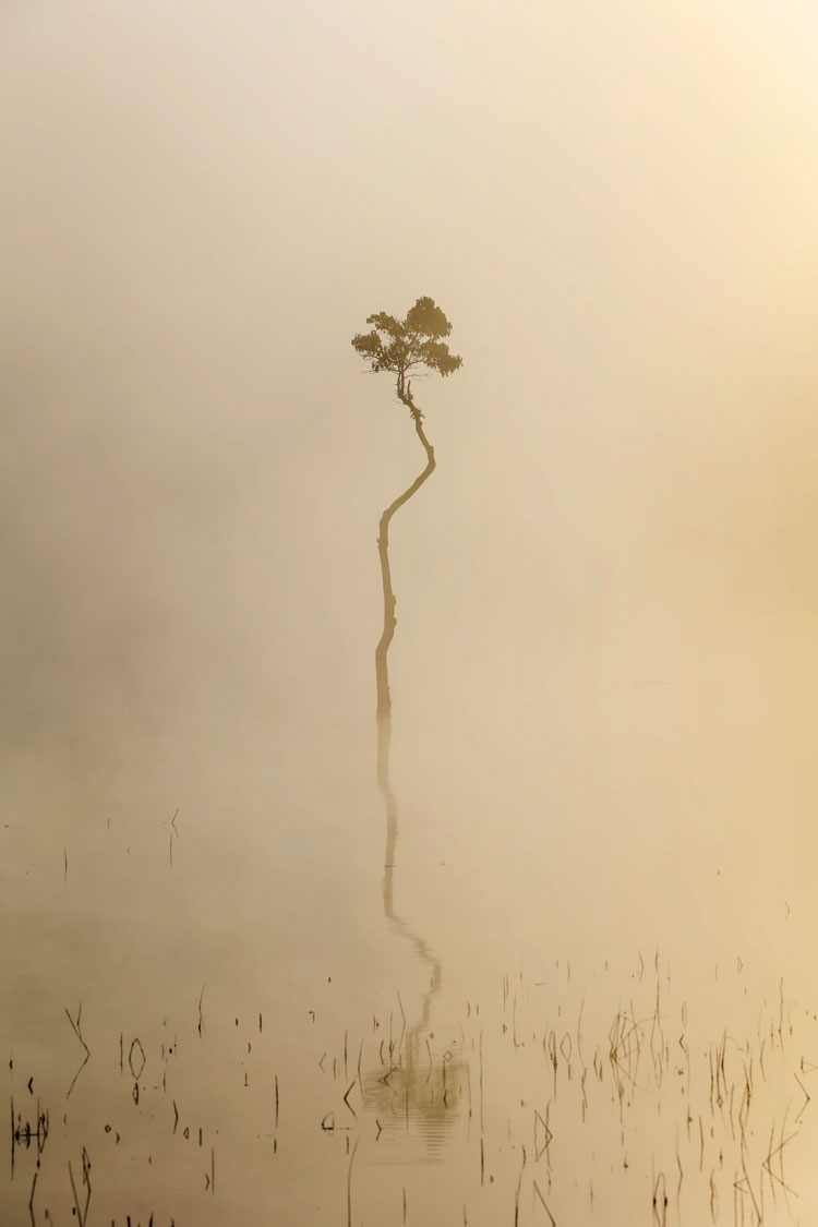 Soi bóng. Ảnh: Võ Trang