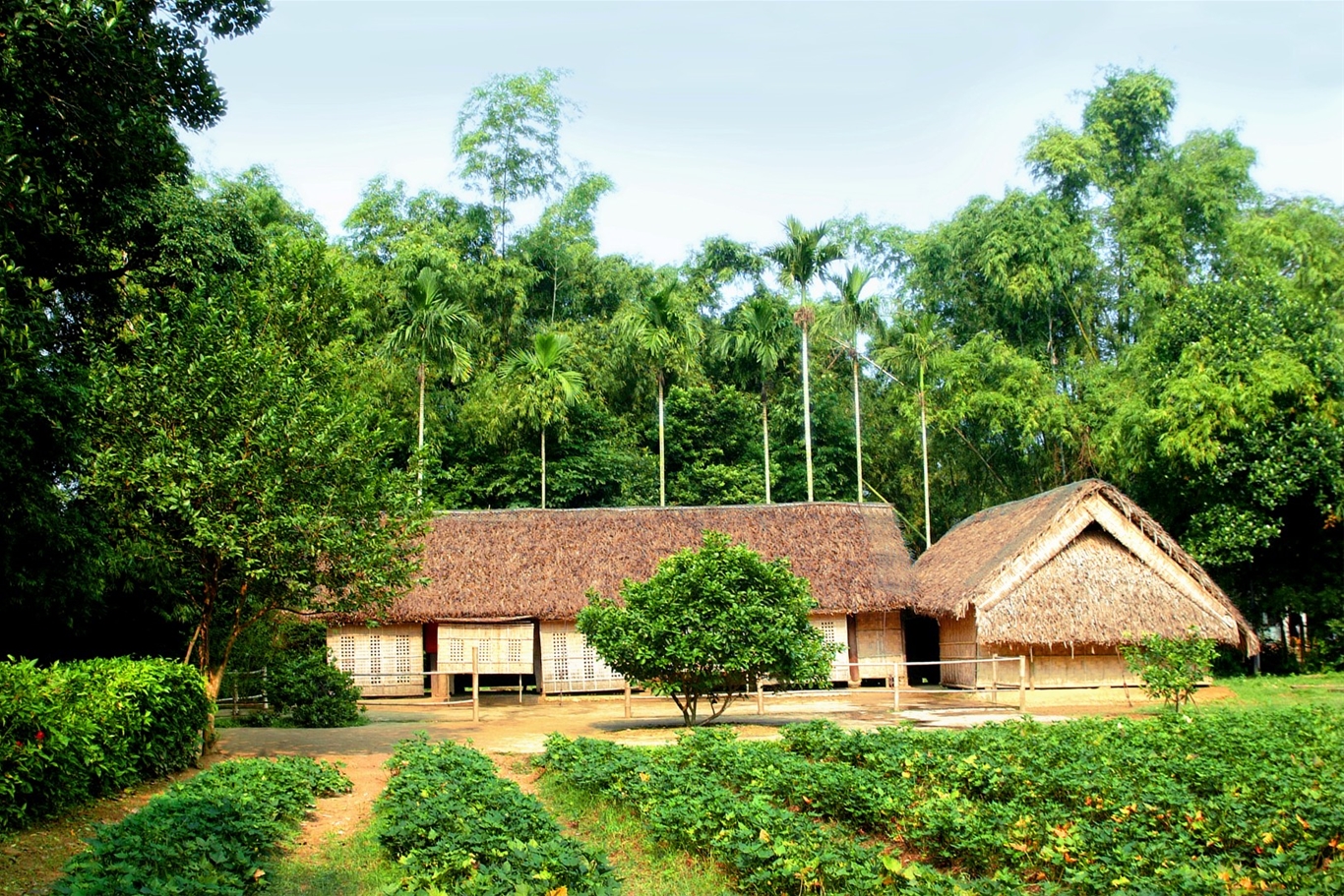 Bác Hồ của chúng ta