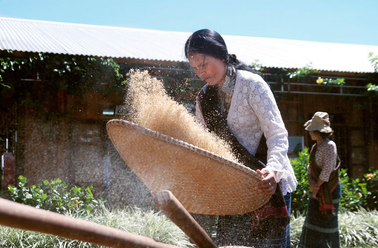 Cảnh sàng gạo thường thấy trong sinh hoạt của bà con Cơ Ho. Ảnh: P.Nhân