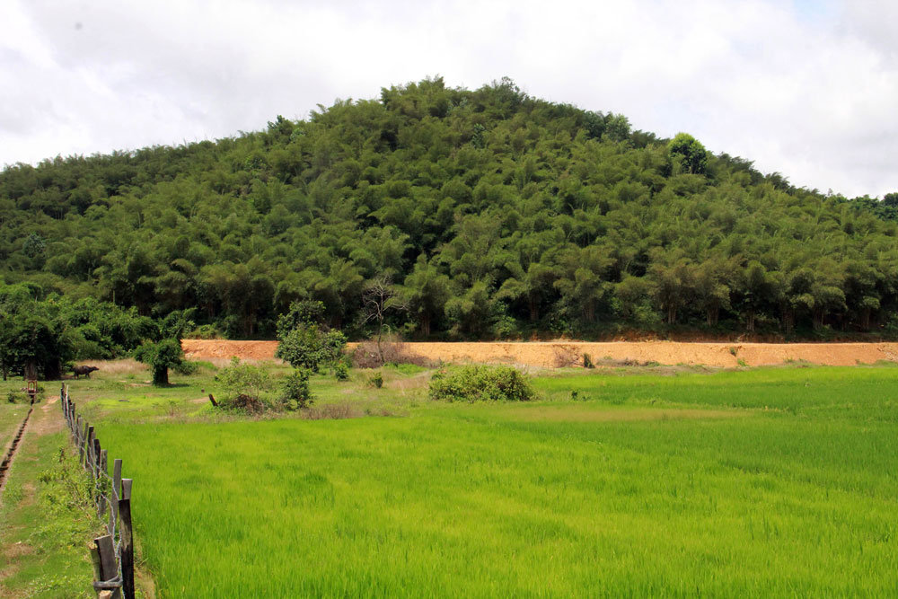 Đón no ấm về