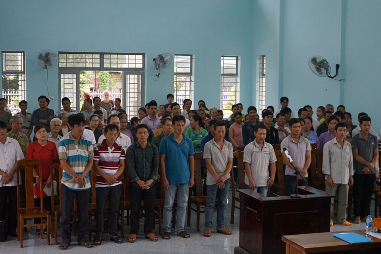 Khai thác rừng và lâm sản trái phép, 11 bị cáo lãnh án tù
