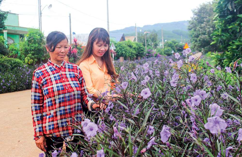 Mô hình “Dân vận khéo” đã thay đổi tuyến đường thôn Ka Đô Mới 2, xã Ka Đô thành cung đường hoa. Ảnh: Ðức Tú