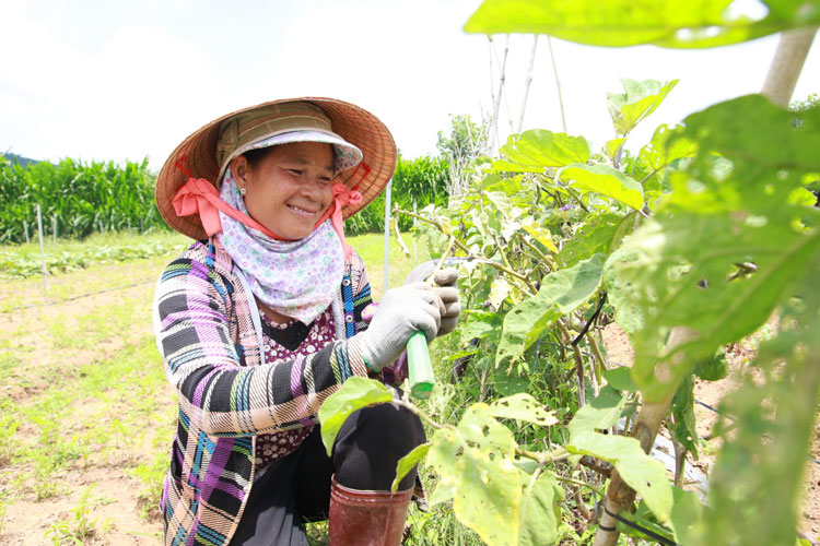 Nhiều giải pháp cho công tác tiếp dân và giải quyết khiếu nại, tố cáo ở Đơn Dương