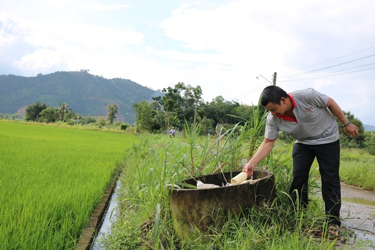 Bảo vệ môi trường từ những hành động nhỏ