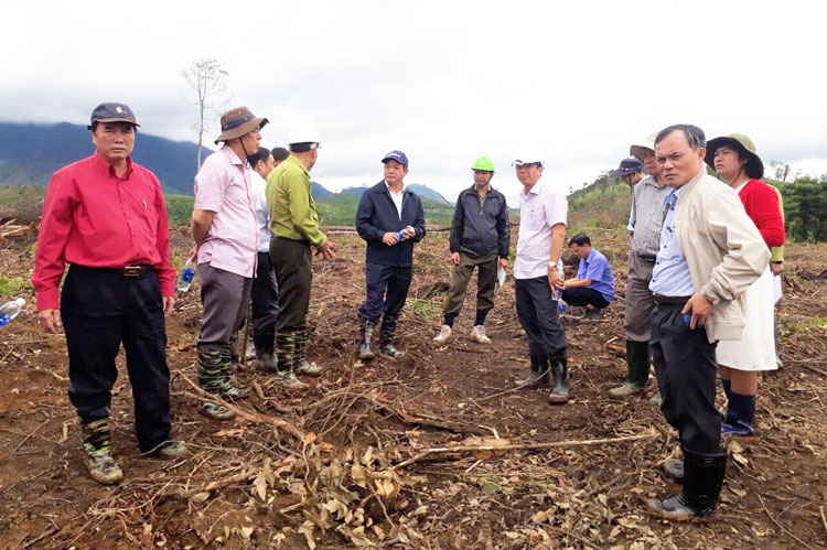 Xử lý nghiêm trách nhiệm  các tổ chức, cá nhân liên quan