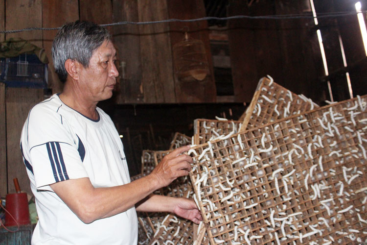 Thôn trưởng được dân tin yêu