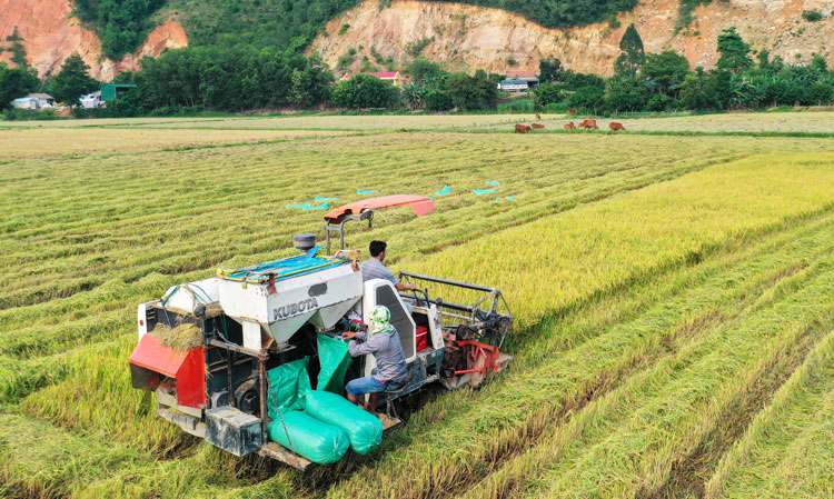 Dấu ấn một nhiệm kỳ