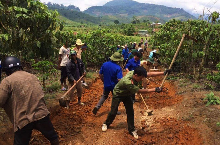 Tuổi trẻ Đạ K'Nàng góp sức xây dựng quê hương