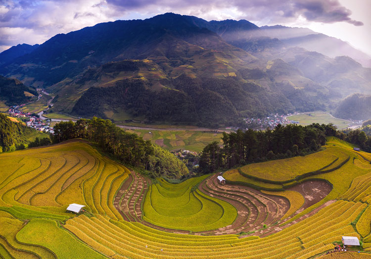 Ruộng lúa Sán Nhù nổi tiếng với những bậc thang mang hình chiếc móng ngựa gần đây cũng trở thành địa điểm thu hút đông du khách